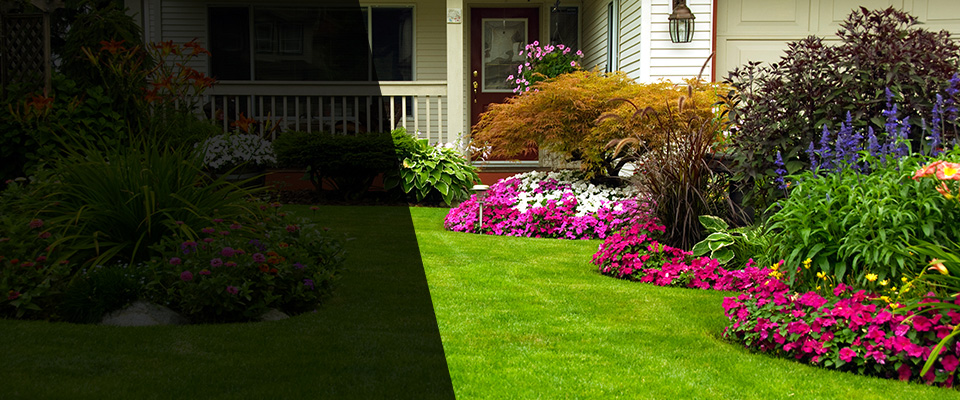 Avilla Landscapers
