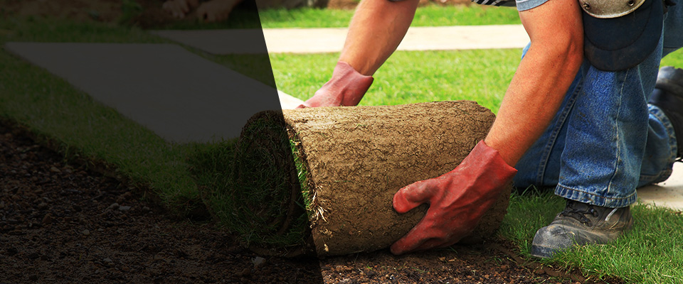 Avilla Landscapers